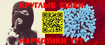 стаф Можга