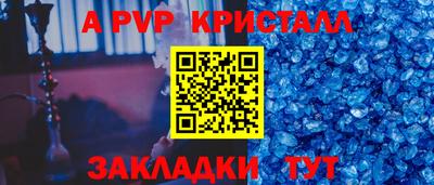 стаф Можга