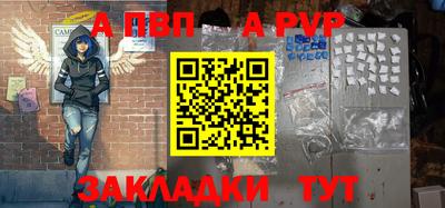 стаф Можга